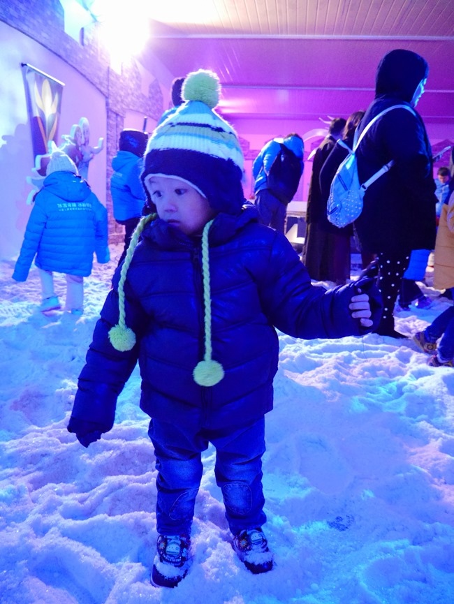 冰雪奇緣特展。走進艾莎女王冰雪王國零下8度C凍感鮮體驗