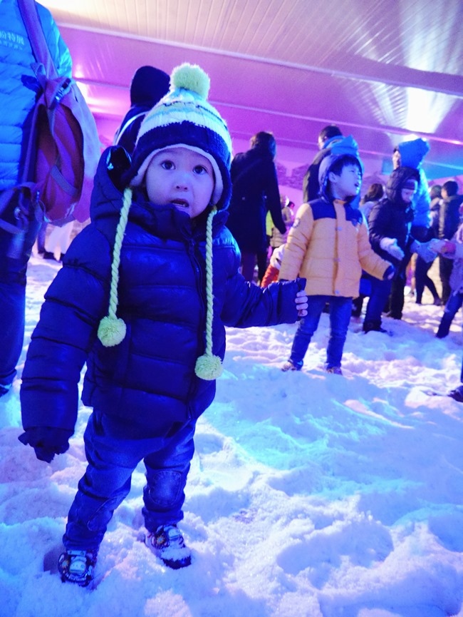 冰雪奇緣特展。走進艾莎女王冰雪王國零下8度C凍感鮮體驗