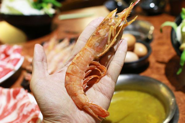 【新店餐廳】六六六小火鍋-堅持熬煮的獨特自製香菇湯頭