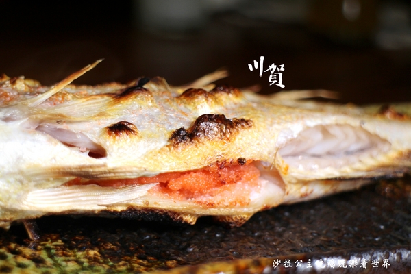 川賀 燒烤居酒屋(市民店):市民大道人氣居酒屋『川賀燒烤居酒屋』日式料理