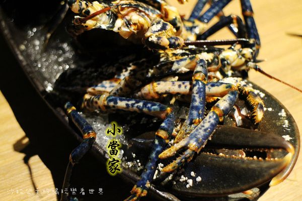 小當家海鮮鍋物(民生店):民生社區豪華火鍋『小當家海鮮鍋物』涮涮鍋/近長庚醫院/台塑大樓