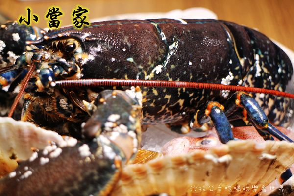小當家海鮮鍋物(民生店):民生社區豪華火鍋『小當家海鮮鍋物』涮涮鍋/近長庚醫院/台塑大樓