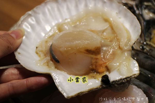 小當家海鮮鍋物(民生店):民生社區豪華火鍋『小當家海鮮鍋物』涮涮鍋/近長庚醫院/台塑大樓