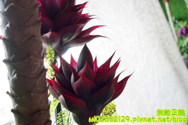 樂透環球美食:【台南-永康區】火鍋x快炒x冰品x下午茶...帶來歡樂的餐廳..免服務費/免低消/wifi《樂透環球美食》