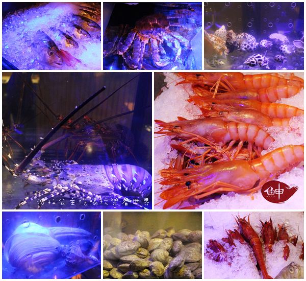 魚紳海鮮美食餐廳:台北長安東路美食『魚紳海鮮美食餐廳』中山區日本料理/無菜單/宵夜