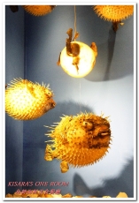 魚紳海鮮美食餐廳：長安東路海鮮．現流魚貨精緻日式套餐──魚紳海鮮美食餐廳（下）