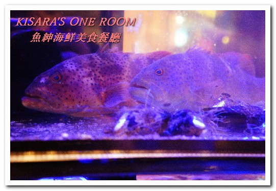 魚紳海鮮美食餐廳：長安東路海鮮．現流魚貨精緻日式套餐──魚紳海鮮美食餐廳（上）