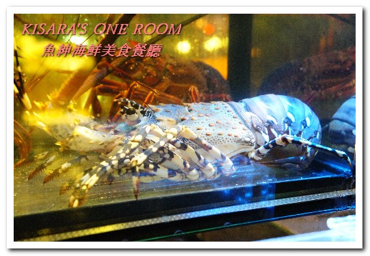 魚紳海鮮美食餐廳：長安東路海鮮．現流魚貨精緻日式套餐──魚紳海鮮美食餐廳（上）