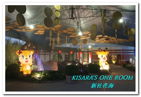 2015新社花海：新社花海怎麼去？辛苦與美麗，一個外地人的經驗談