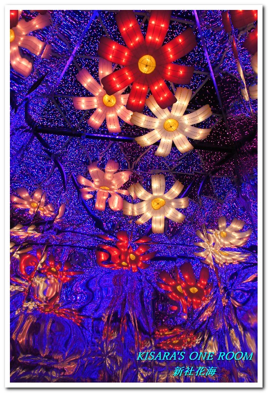 2015新社花海：新社花海怎麼去？辛苦與美麗，一個外地人的經驗談