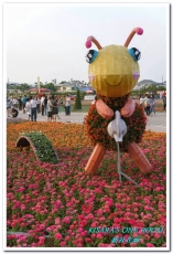 2015新社花海：新社花海怎麼去？辛苦與美麗，一個外地人的經驗談