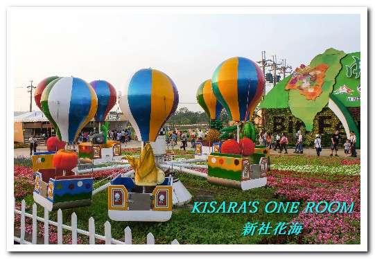 2015新社花海：新社花海怎麼去？辛苦與美麗，一個外地人的經驗談