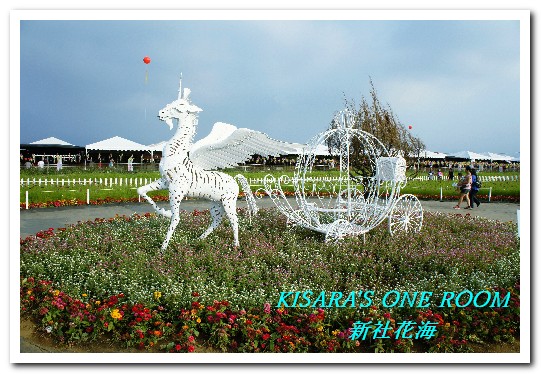 2015新社花海：新社花海怎麼去？辛苦與美麗，一個外地人的經驗談