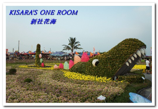 2015新社花海：新社花海怎麼去？辛苦與美麗，一個外地人的經驗談