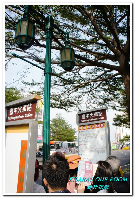 2015新社花海：新社花海怎麼去？辛苦與美麗，一個外地人的經驗談