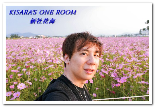 2015新社花海：新社花海怎麼去？辛苦與美麗，一個外地人的經驗談