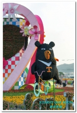 2015新社花海：新社花海怎麼去？辛苦與美麗，一個外地人的經驗談