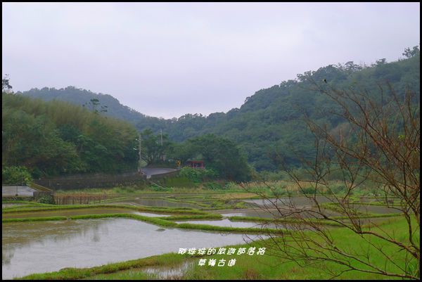 草嶺古道52.JPG