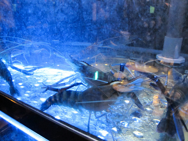 一品活蝦(市民店)：(胖樺食記)台北市一品活蝦·市民店提供多元創意鮮蝦料理。湯品及其他菜色表現依舊亮眼。