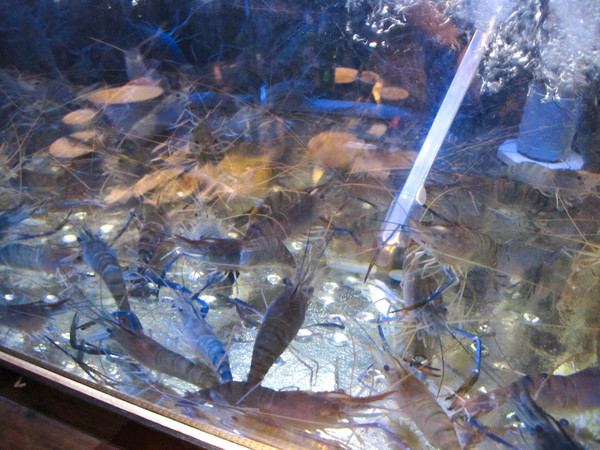 一品活蝦(市民店)：(胖樺食記)台北市一品活蝦·市民店提供多元創意鮮蝦料理。湯品及其他菜色表現依舊亮眼。