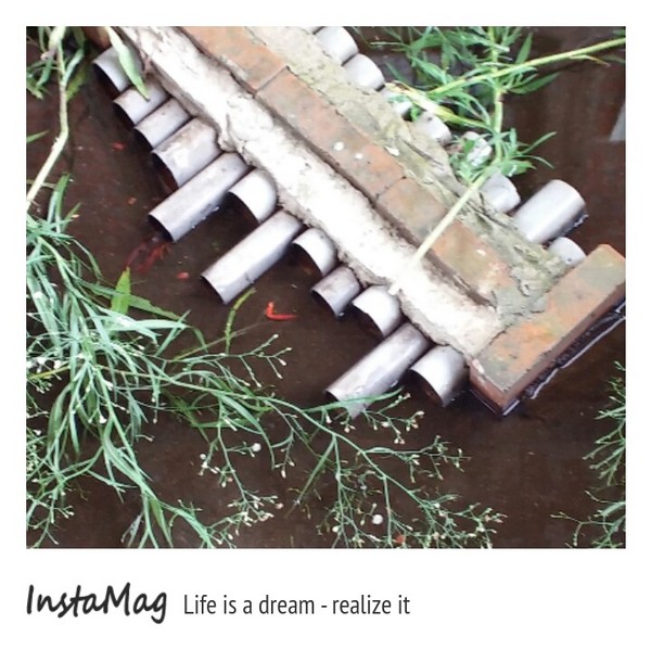 Go Bear溝貝親子休閒農莊:【新竹景點】釣螯蝦,摸蜆,玩沙或戲水,釣魚,撈金魚~Go Bear溝貝親子休閒農莊