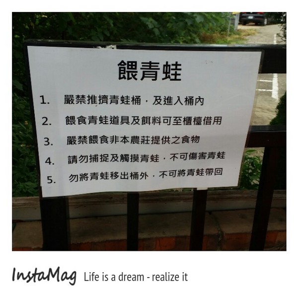 Go Bear溝貝親子休閒農莊:【新竹景點】釣螯蝦,摸蜆,玩沙或戲水,釣魚,撈金魚~Go Bear溝貝親子休閒農莊