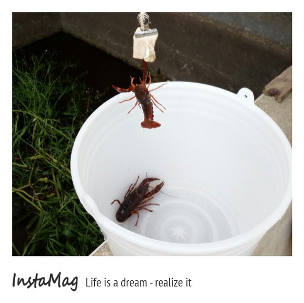 Go Bear溝貝親子休閒農莊:【新竹景點】釣螯蝦,摸蜆,玩沙或戲水,釣魚,撈金魚~Go Bear溝貝親子休閒農莊