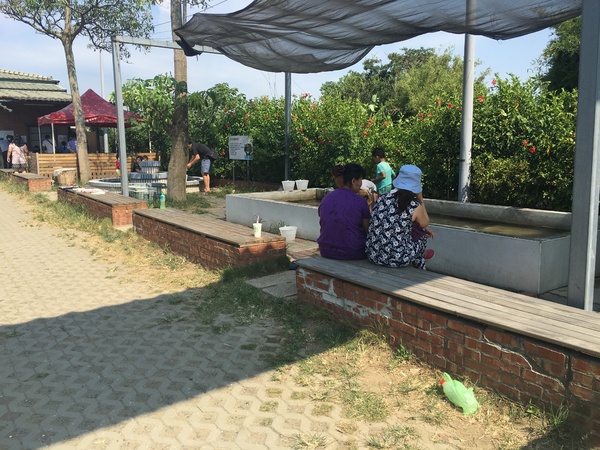 Go Bear溝貝親子休閒農莊：[新竹竹北親子遊] Go Bear 溝貝親子休閒農莊*撈魚*玩沙.玩水.釣魚 休閒的好趣處