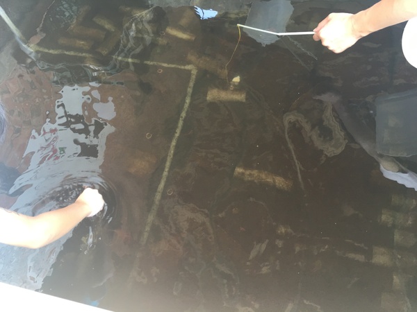 Go Bear溝貝親子休閒農莊：[新竹竹北親子遊] Go Bear 溝貝親子休閒農莊*撈魚*玩沙.玩水.釣魚 休閒的好趣處