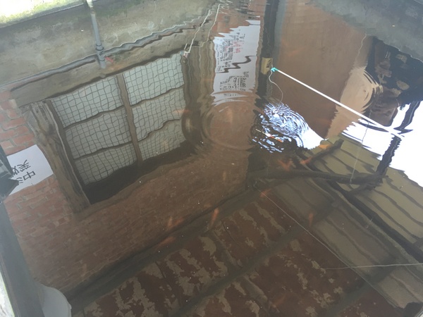 Go Bear溝貝親子休閒農莊：[新竹竹北親子遊] Go Bear 溝貝親子休閒農莊*撈魚*玩沙.玩水.釣魚 休閒的好趣處