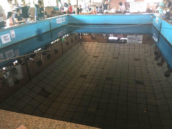 Go Bear溝貝親子休閒農莊：[新竹竹北親子遊] Go Bear 溝貝親子休閒農莊*撈魚*玩沙.玩水.釣魚 休閒的好趣處