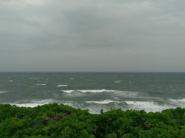 10720910_813057462048809_906381546_n