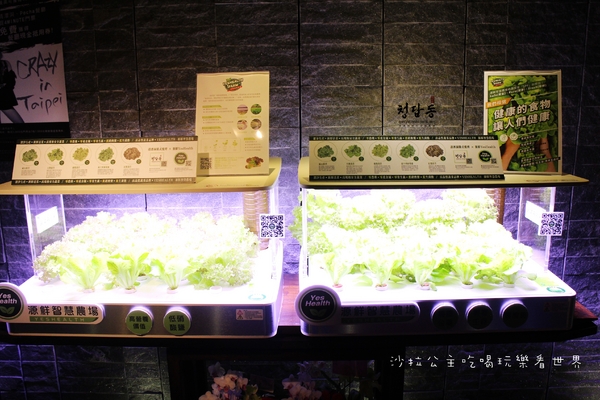 清潭洞韓式燒烤:東區人氣燒肉『清潭洞韓式燒烤』宵夜/捷運國父紀念館站