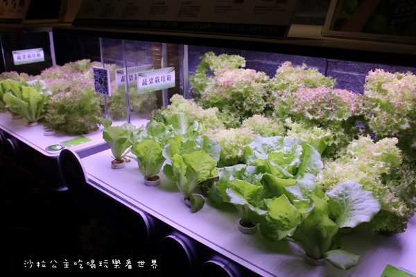 清潭洞韓式燒烤:東區人氣燒肉『清潭洞韓式燒烤』宵夜/捷運國父紀念館站