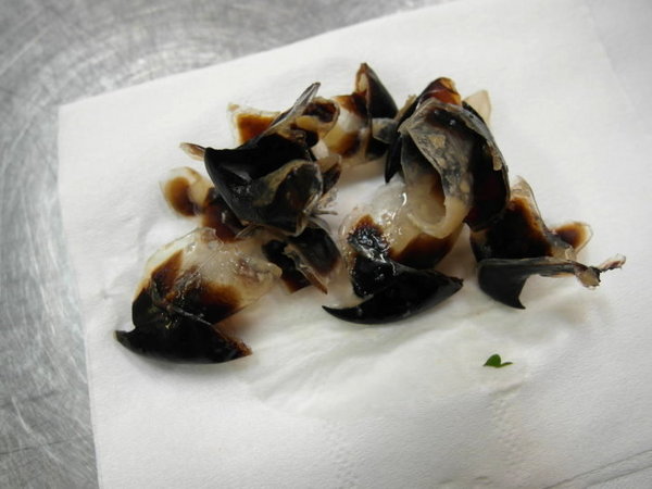 魷魚興嘴吃嘴魷魚羮:【雲林||斗六】魷魚興魷魚嘴羹──邊吃邊吐殼,斗六在地人吃的特色小吃