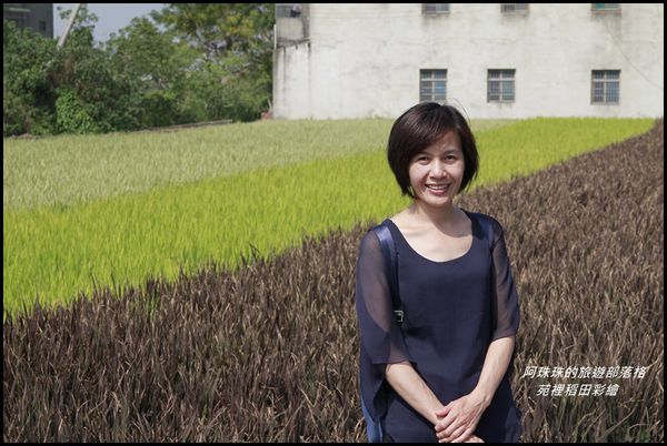 苑裡稻田彩繪5.JPG
