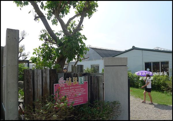 愛情果園.JPG