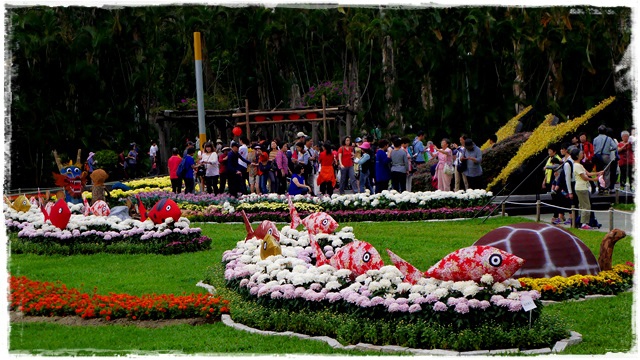 2015士林官邸菊展 嬉遊秋菊