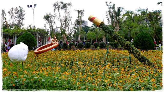 2015士林官邸菊展 嬉遊秋菊