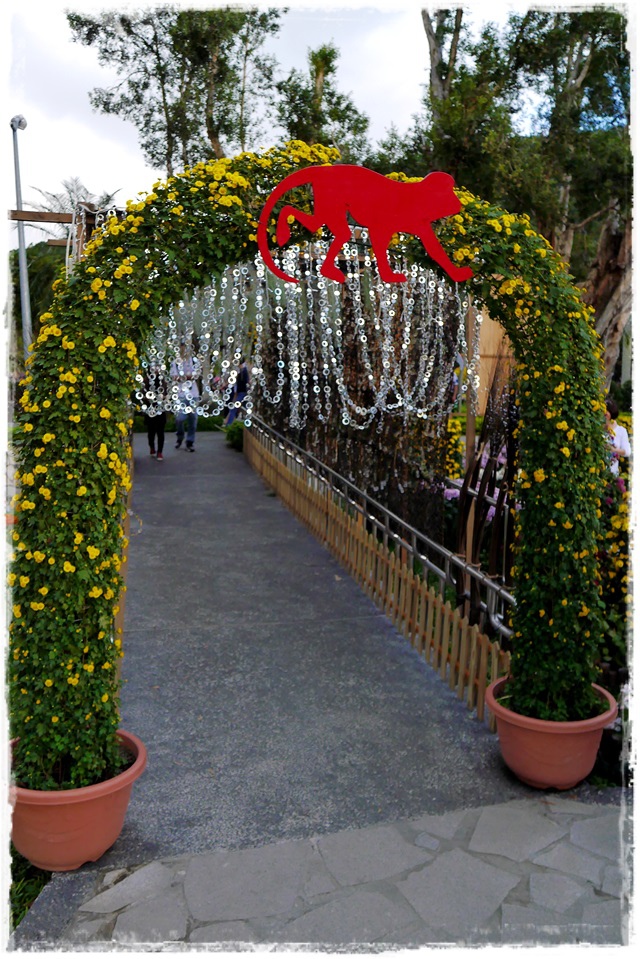 2015士林官邸菊展 嬉遊秋菊