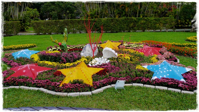 2015士林官邸菊展 嬉遊秋菊