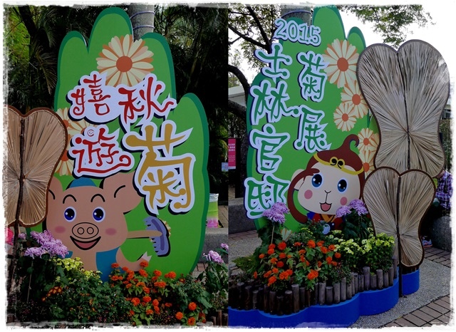 2015士林官邸菊展 嬉遊秋菊