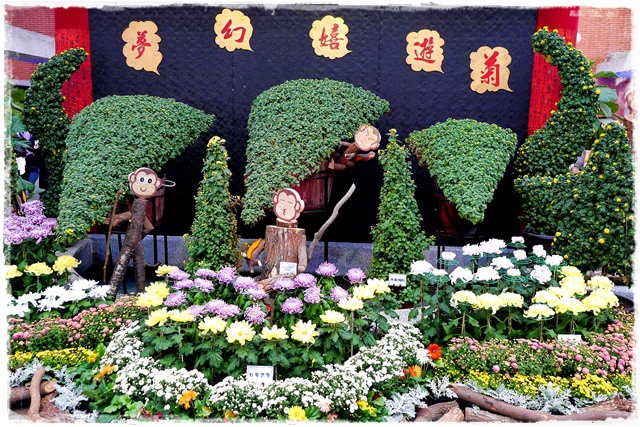 2015士林官邸菊展 嬉遊秋菊