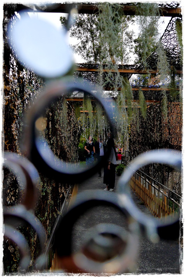 2015士林官邸菊展 嬉遊秋菊