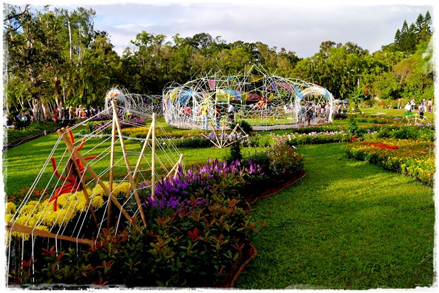 2015士林官邸菊展 嬉遊秋菊