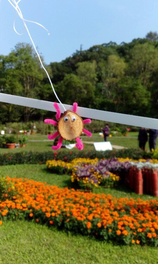 士林~~~~ 菊花展_4568.jpg