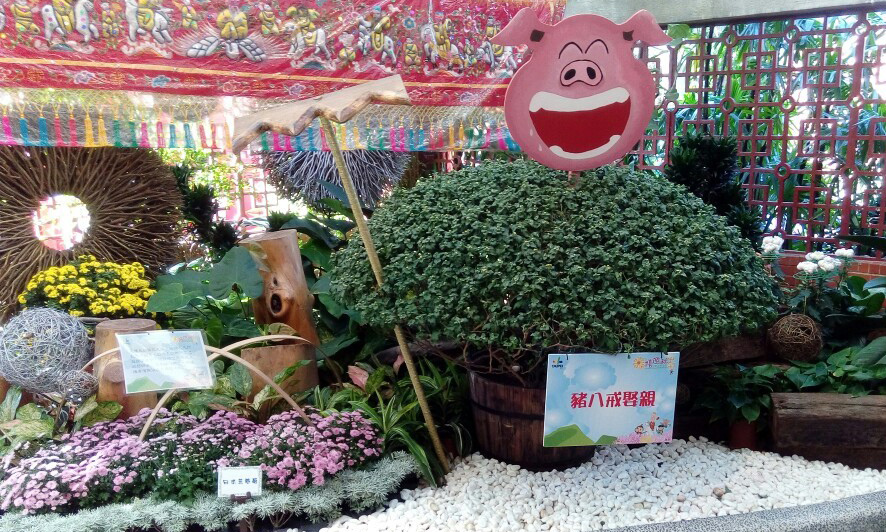 士林~~~~ 菊花展_8588.jpg