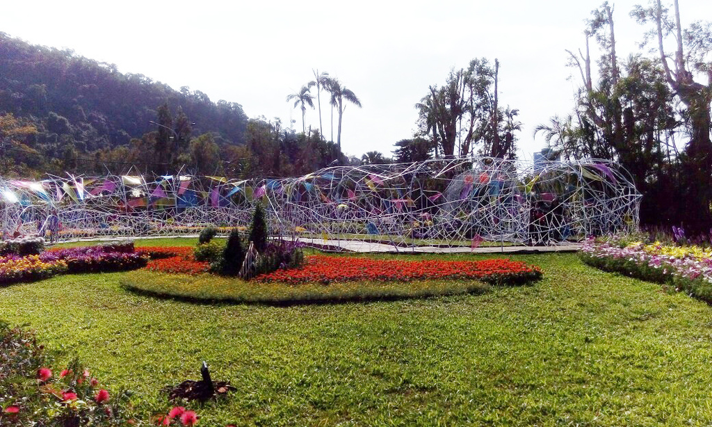 士林~~~~ 菊花展_8330.jpg