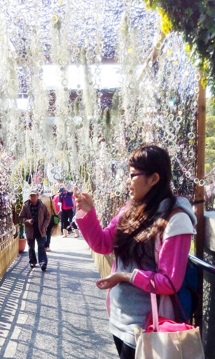 士林~~~~ 菊花展_6536.jpg