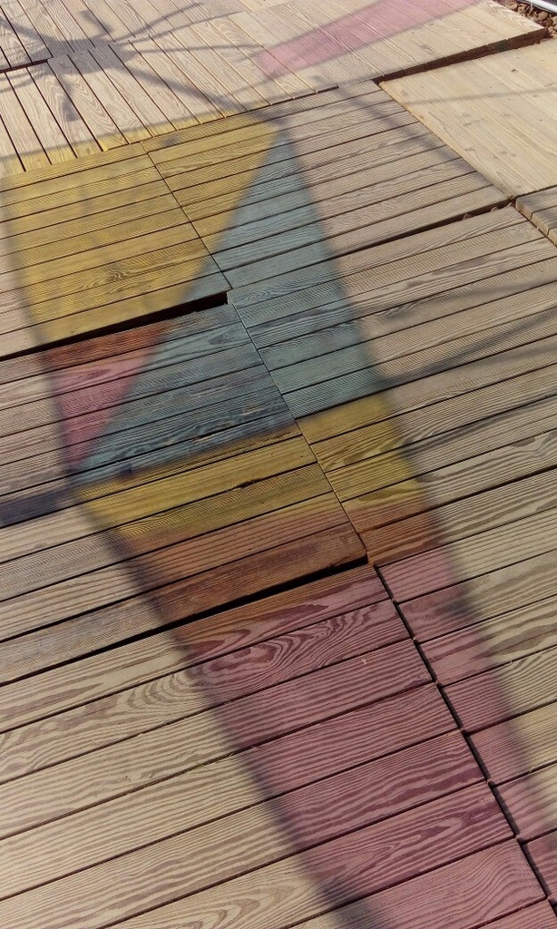 士林~~~~ 菊花展_8654.jpg